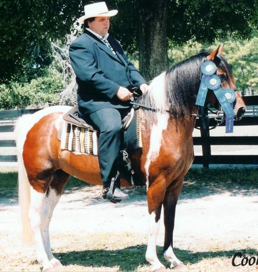 Icelandic Gaited Clinic