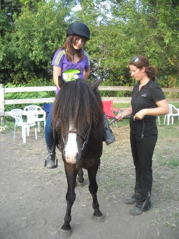 Icelandic Gaited Clinic