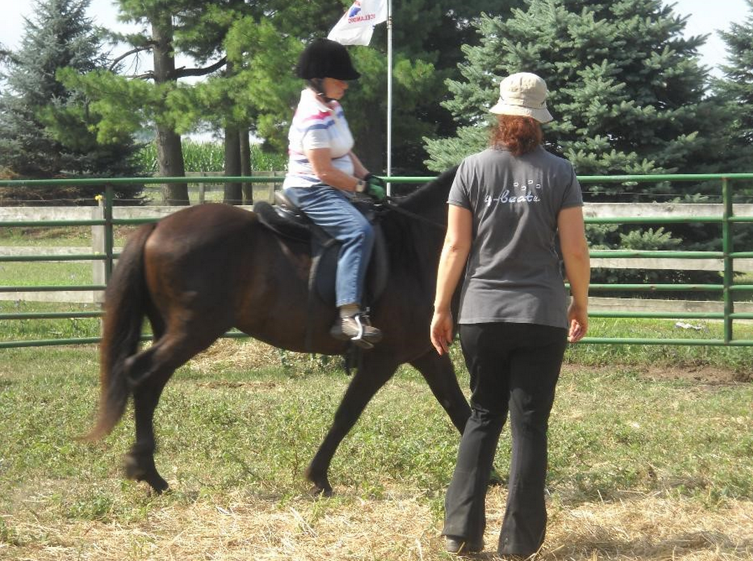 Icelandic Gaited Clinic