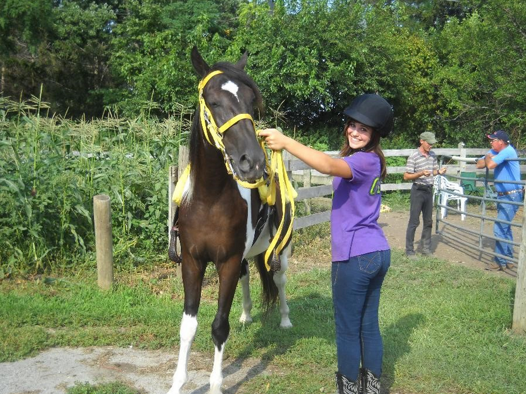 Icelandic Gaited Clinic