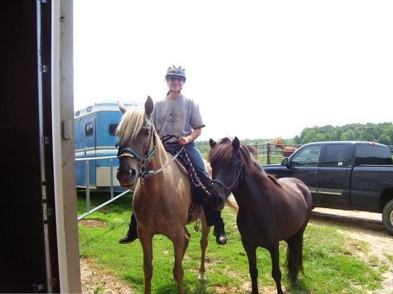 Icelandic Gaited Clinic