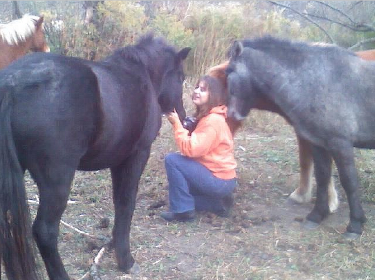 Icelandic Gaited Clinic